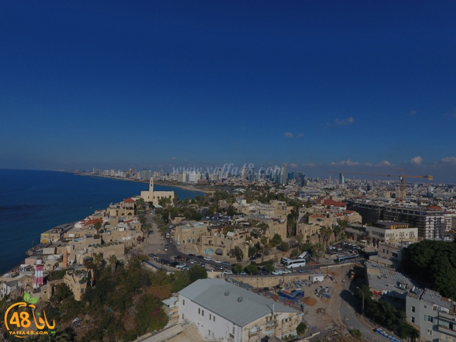 الاحصاء: عائلة اغبارية تحتل المرتبة الأولى في أسماء العائلات العربية الأكثر انتشاراً في البلاد